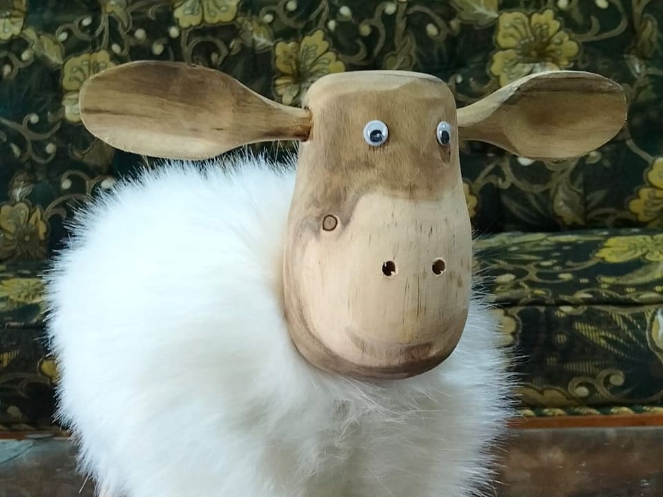 Fluffy Sheep