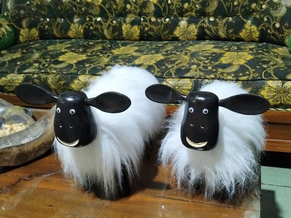 Black-face Sheep