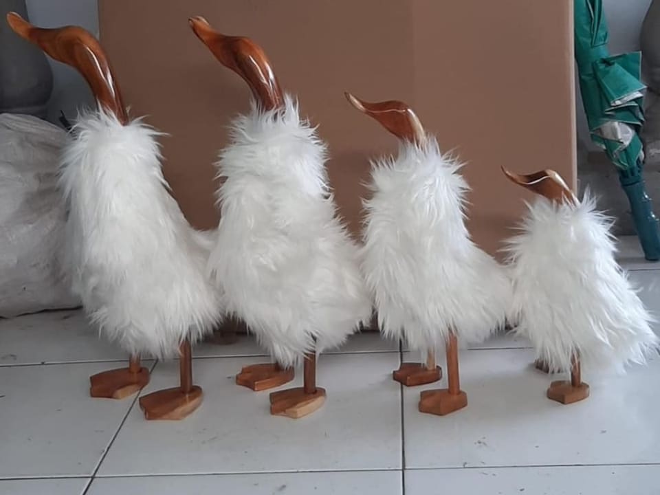 Fluffy Ducks, Standing