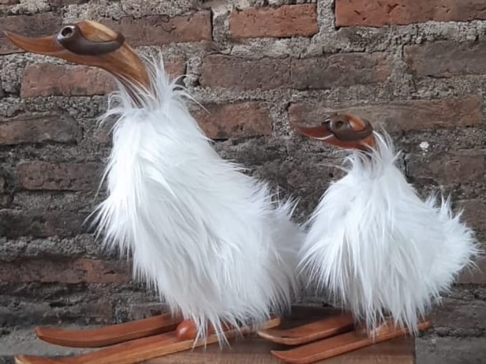 Fluffy Duck, Long