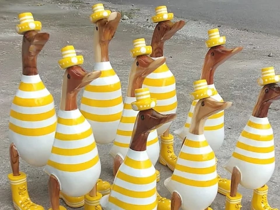 Dressed Ducks, Striped