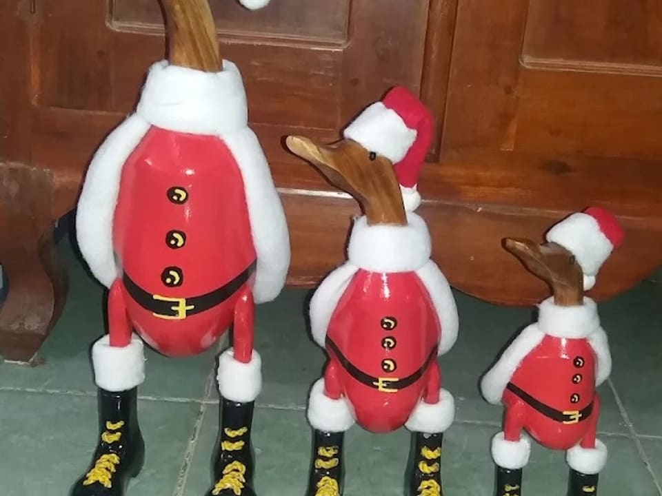 Dressed Ducks, Santa