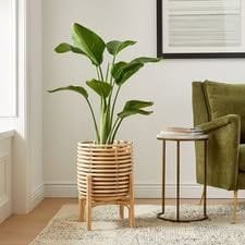 Rattan Planter Stand — Slat Cylinder
